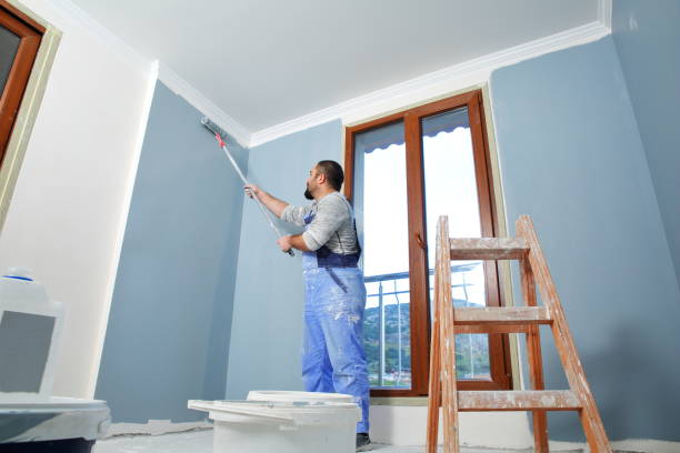 Best Drywall Removal and Disposal  in Richton Park, IL