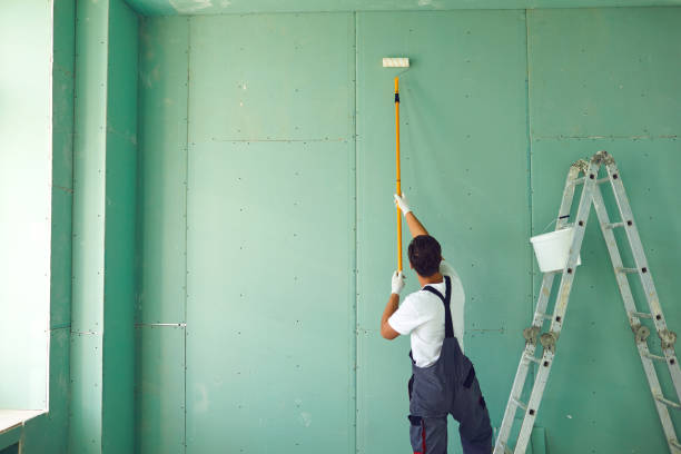 Best Commercial Painting  in Richton Park, IL