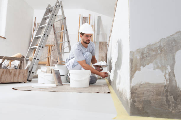 Best Trim and Molding Painting  in Richton Park, IL